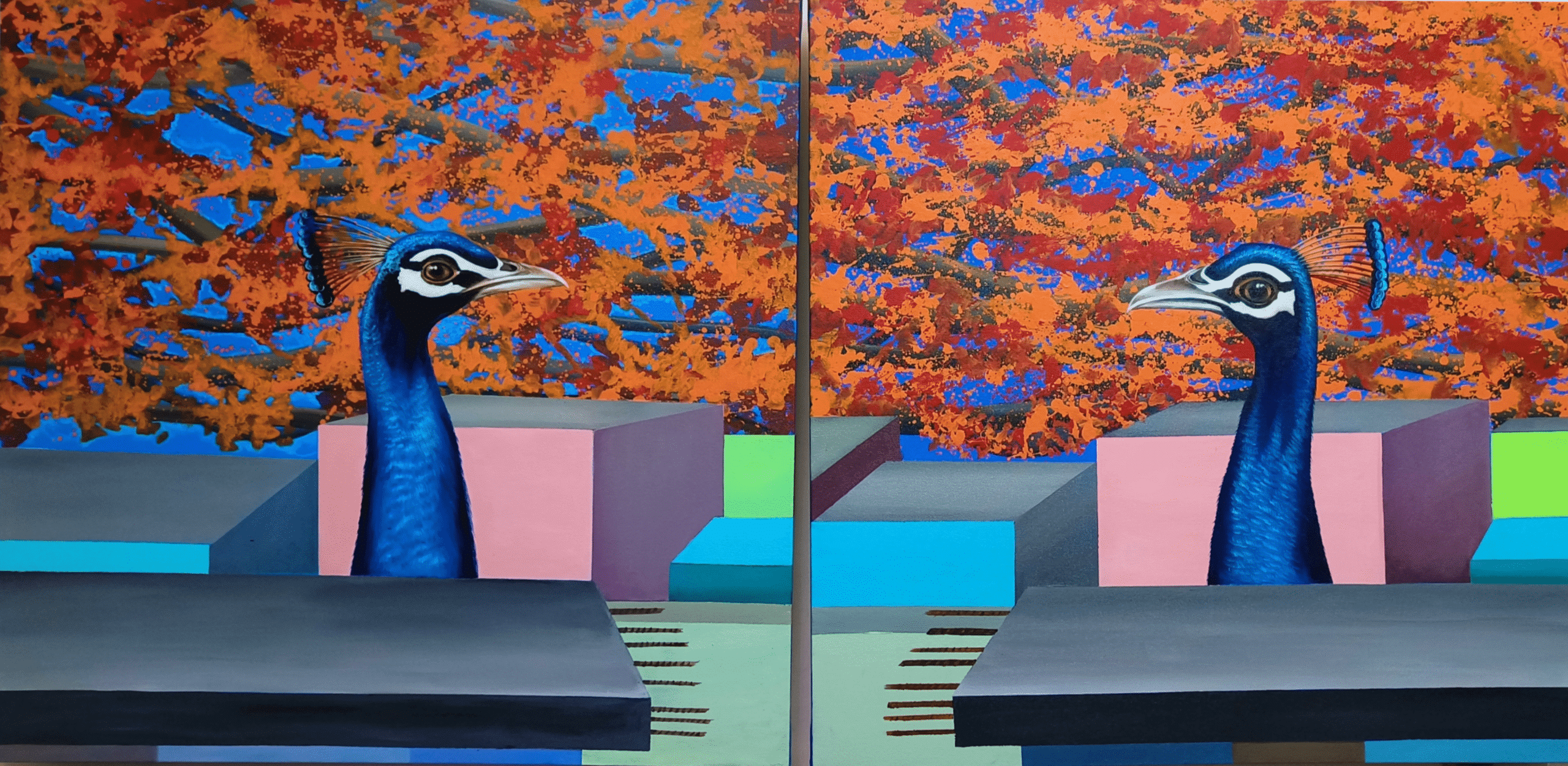 The Story of Peacock