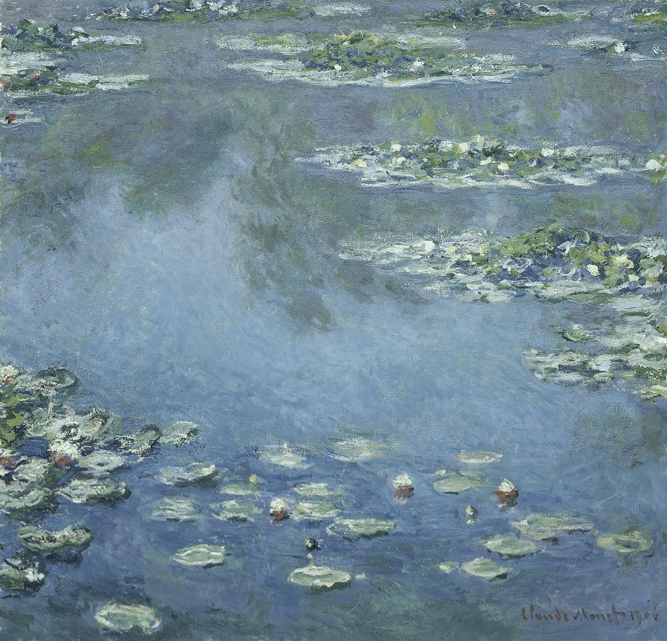 Water Lilies