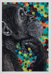 Contemplative Chimp