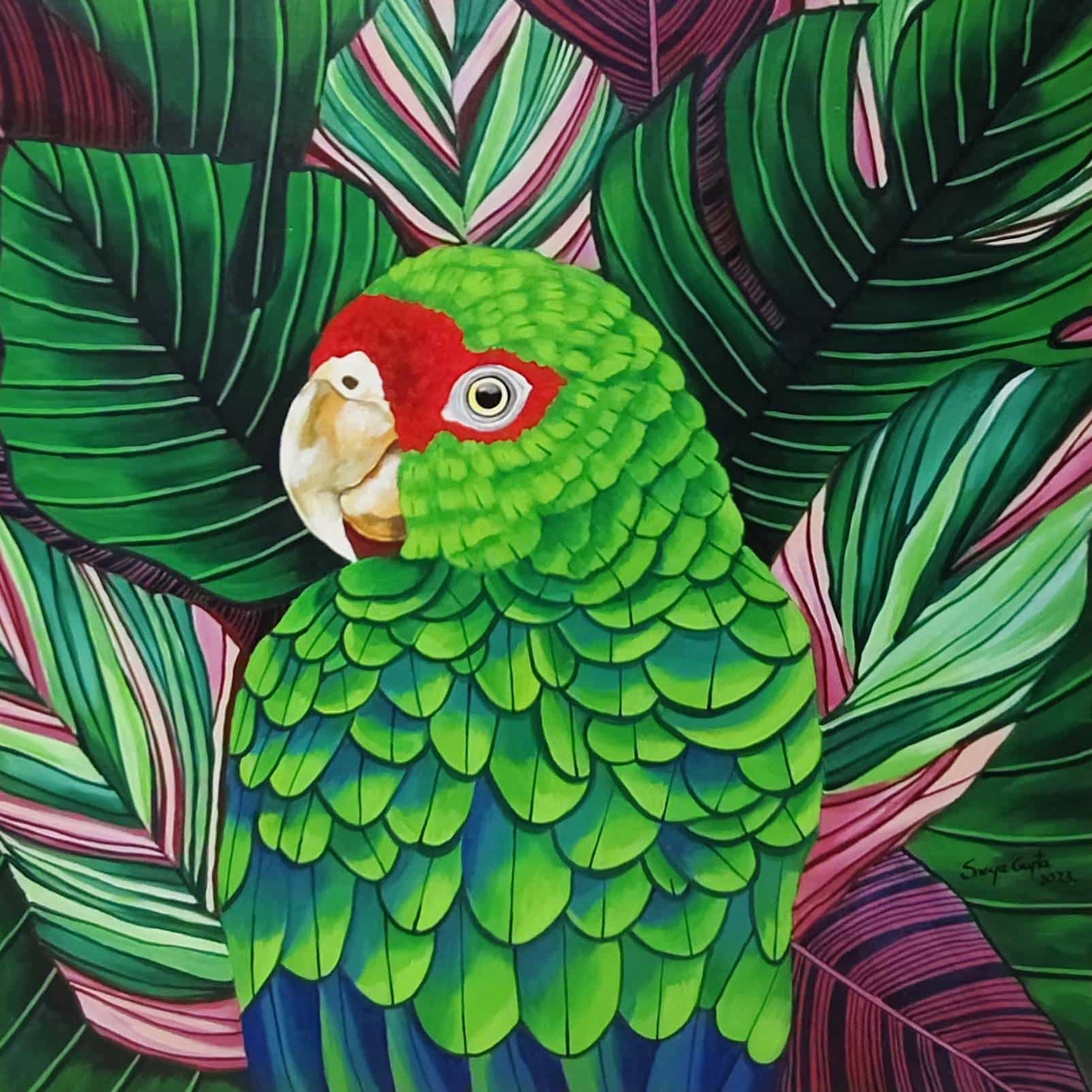 Call of the Vibrance series