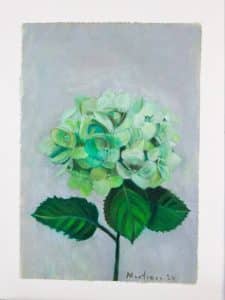 Hortensia verde