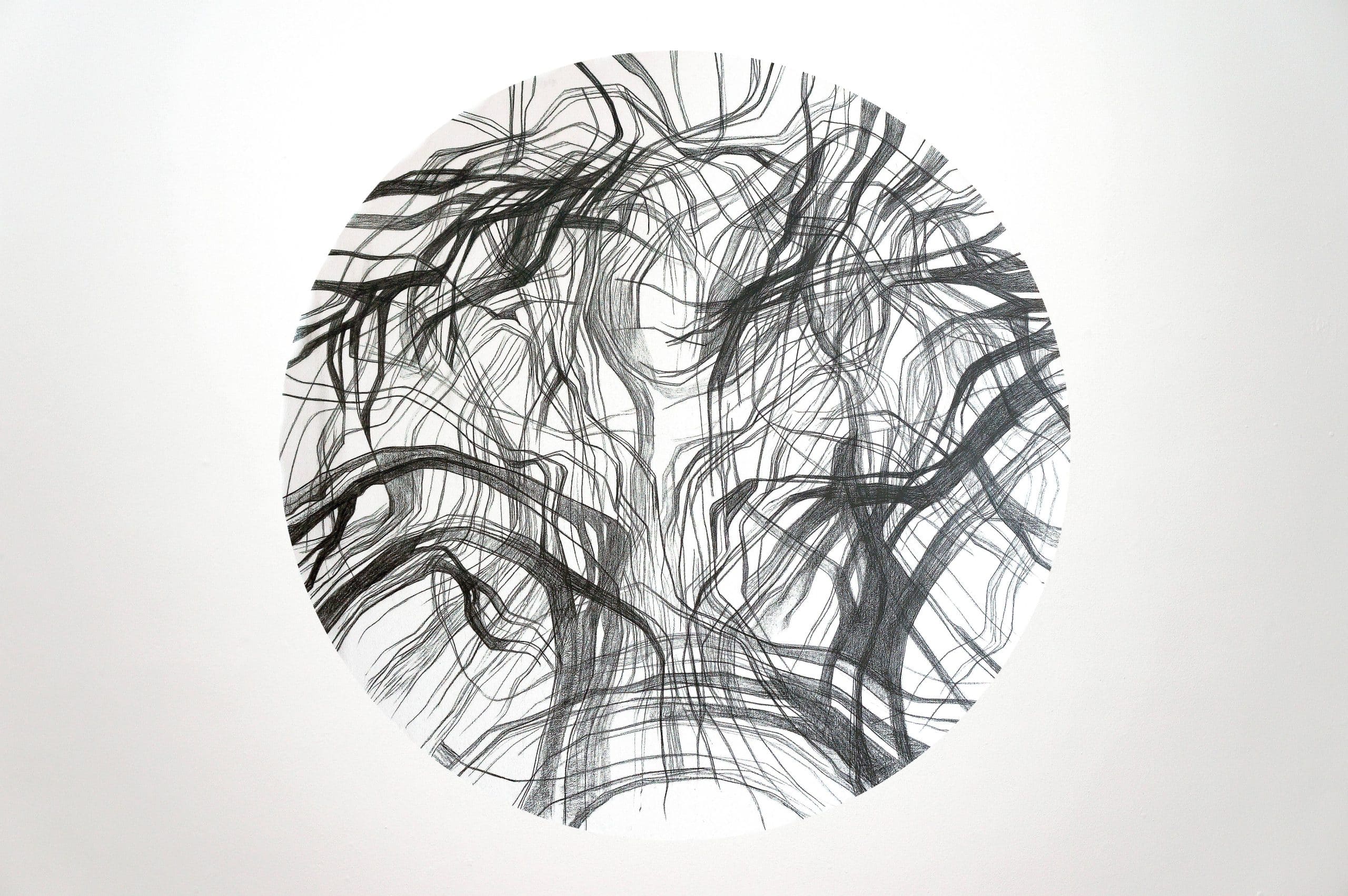 UMBRALES / OBRA N.° 6