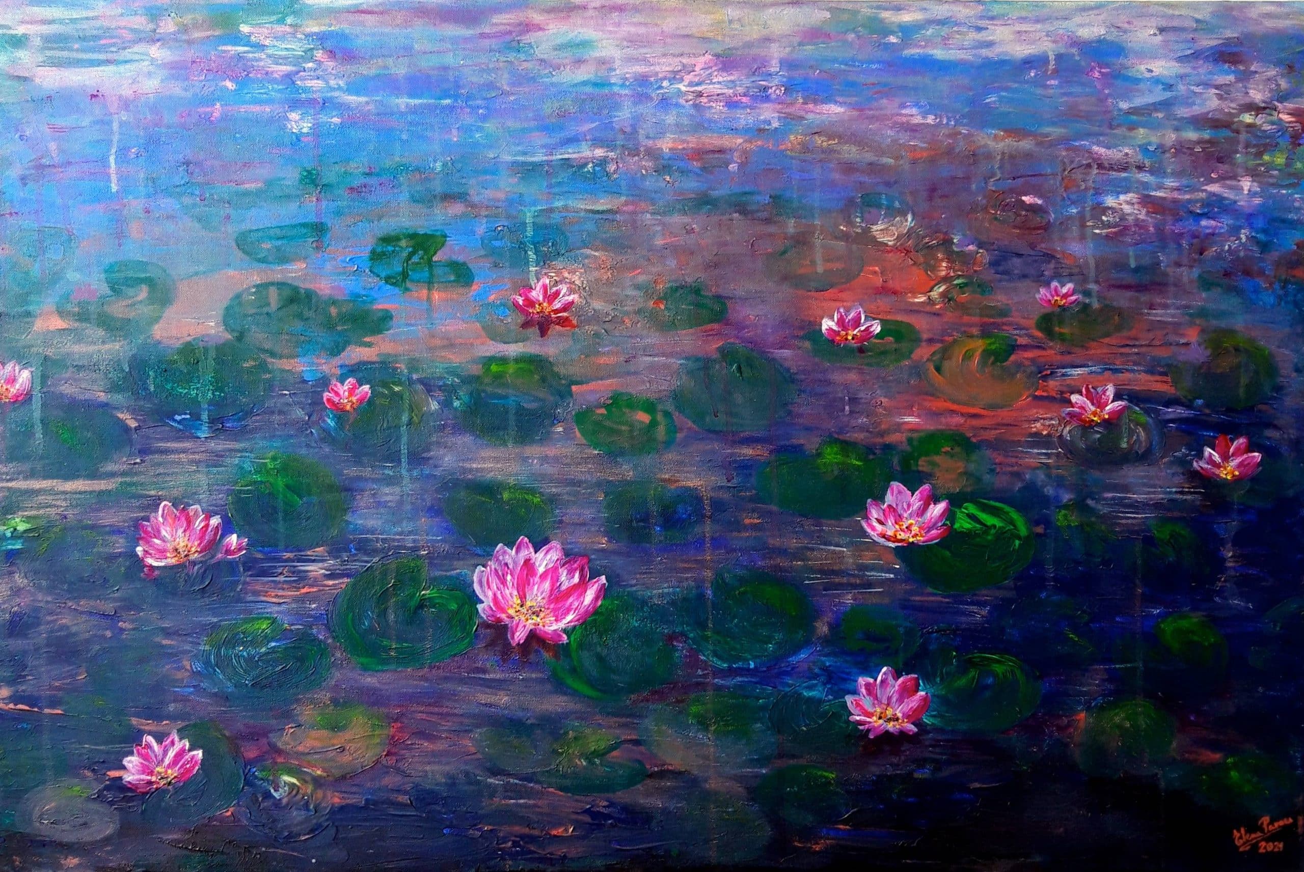 Pink water lilies in the twili