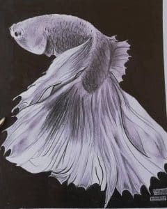 A realestic fish charcol draw.